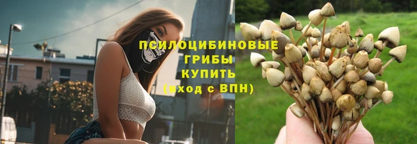 гидропоника Баксан