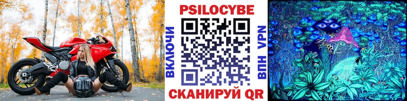 Псилоцибиновые грибы GOLDEN TEACHER  где купить наркотик  Судогда 
