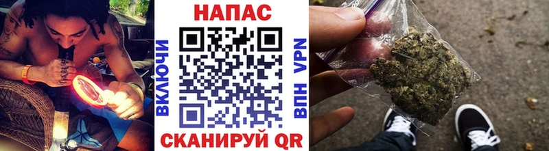 купить наркоту  Судогда  мега ссылка  Бошки Шишки индика 
